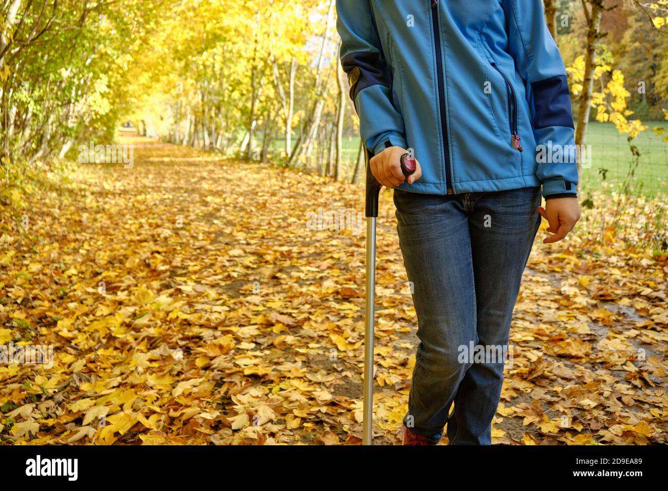 Young teenage girl with a crutch walks through coloured fallen leaves in autumn, one. Stock Photo