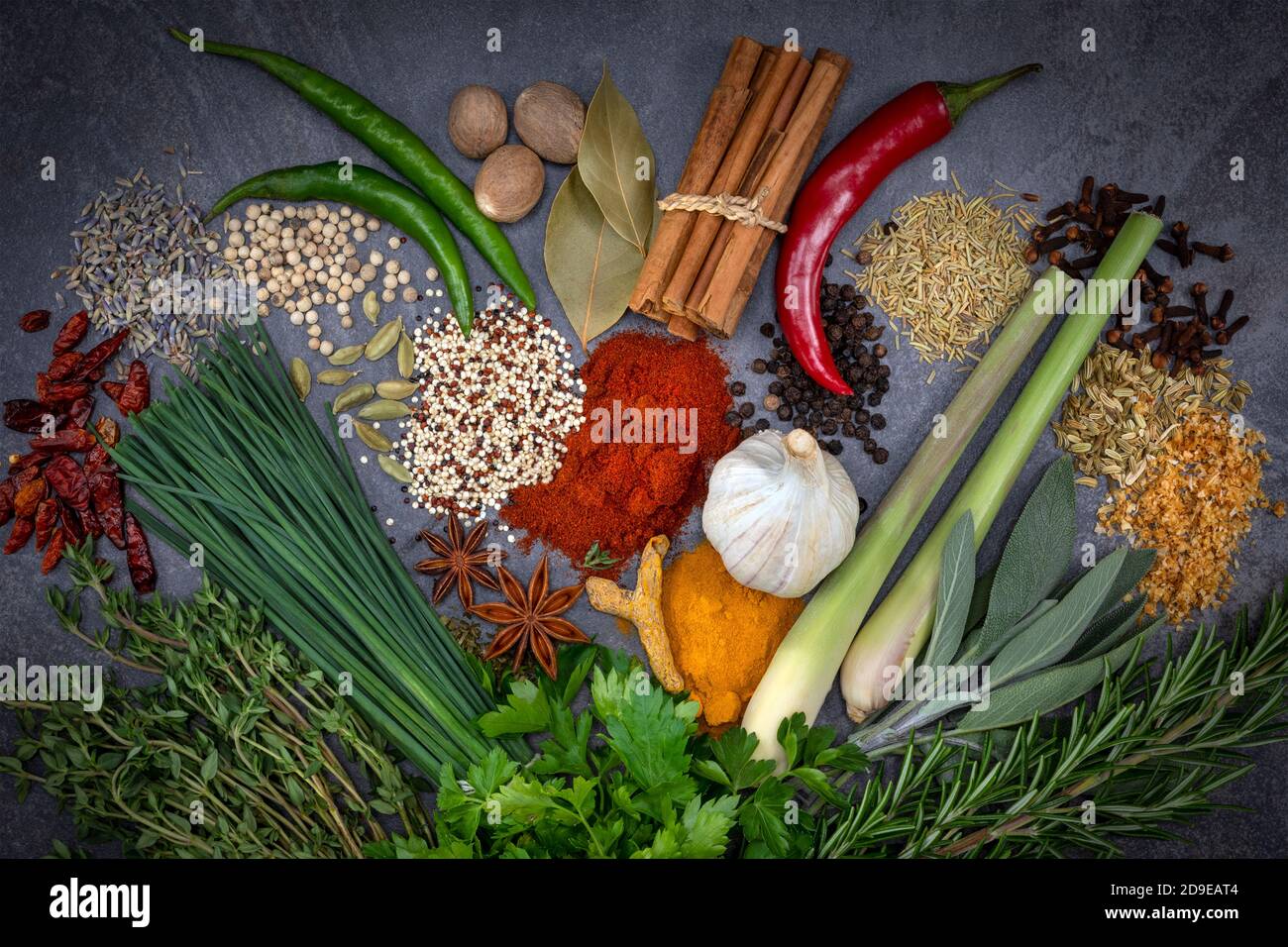 Herbs and Spices on a grey slate background. Stock Photo