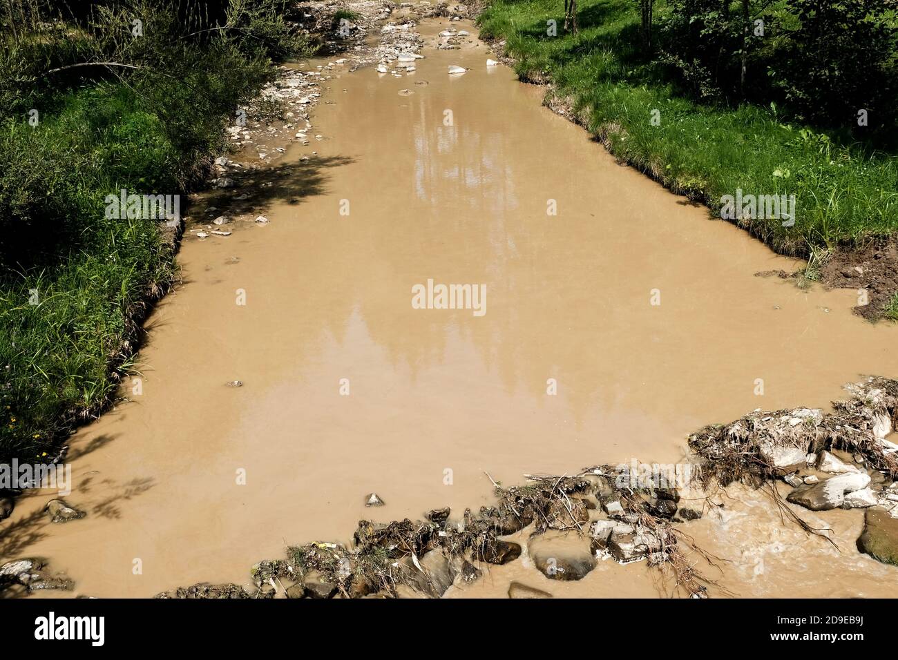 Dirty polluted river in Ukraine. Unsanitary undrinkable water. Muddy brown water color with harmful bacteria. Swamp in a Ukrainian village. Unclean. Stock Photo