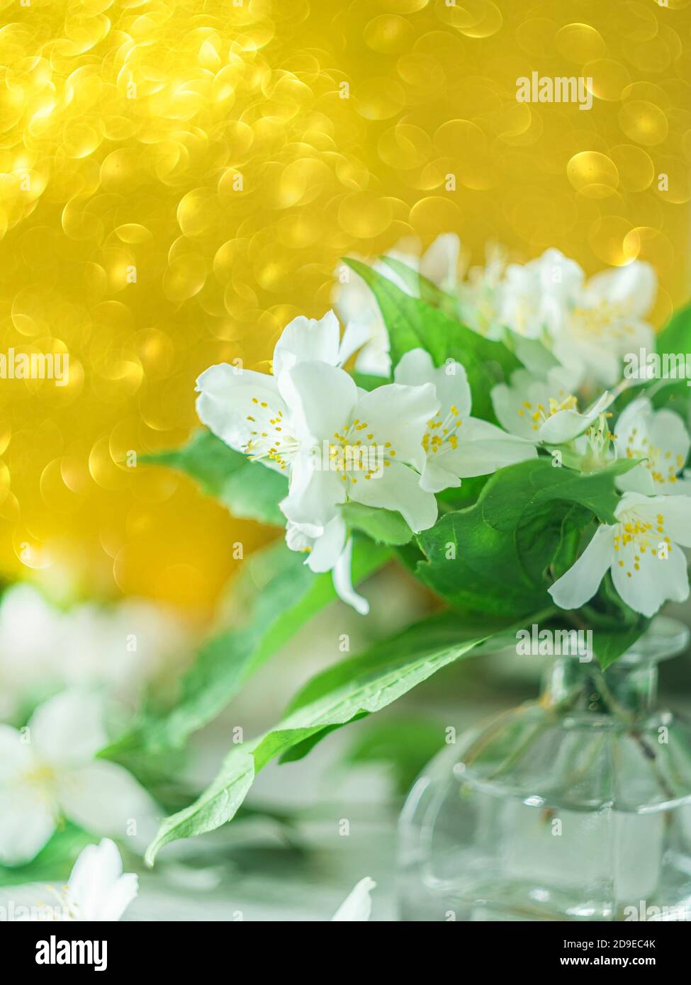 Fresh jasmine flowers in a vase on background bokeh. Stock Photo