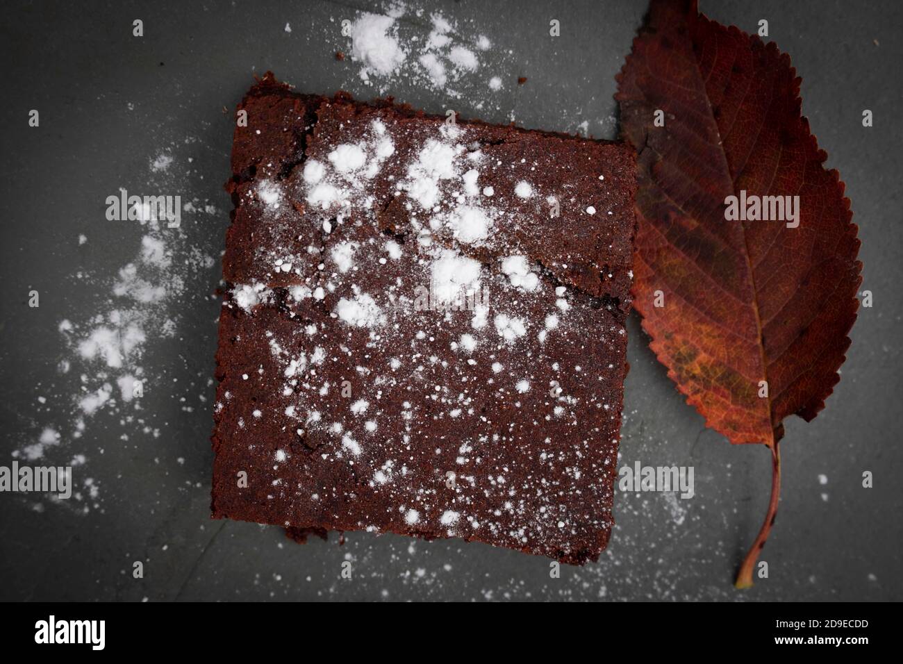 A slice of beetroot chocolate browny on a slate plate with an autumnal leaf and a sprinkling of icing sugar Stock Photo