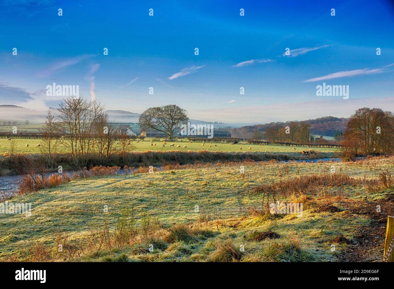Early winters morning scene at Dalrymple near Ayr in Ayrshire, Scotland