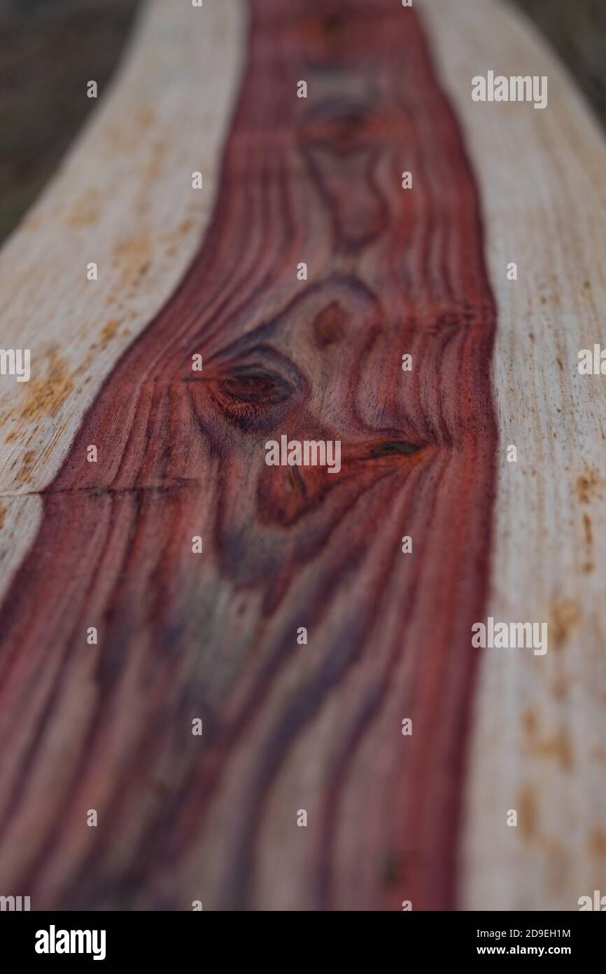 Natural Siamese Rosewood timber furniture Stock Photo