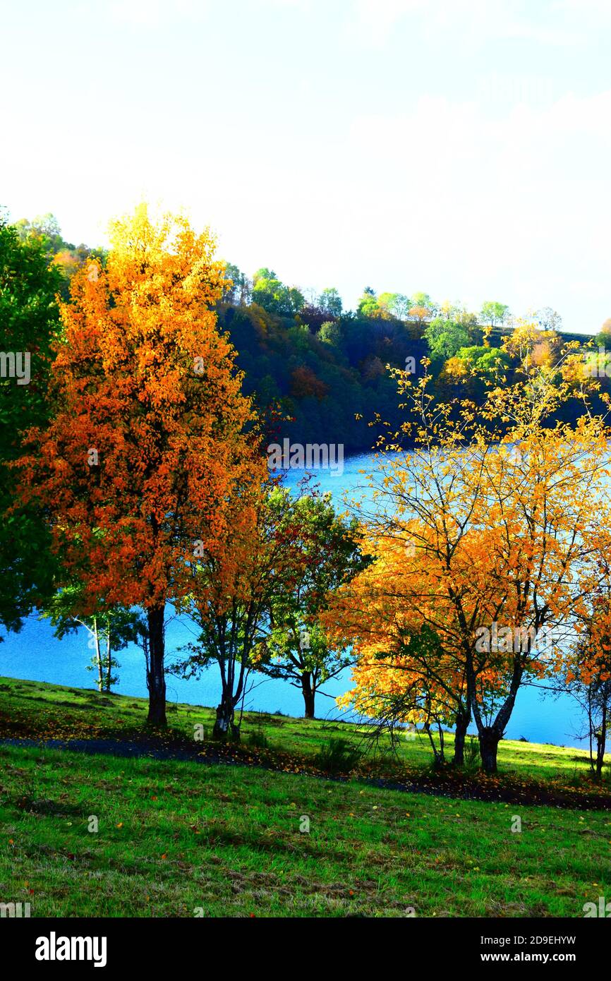 autumn at Weinfelder Maar Stock Photo - Alamy
