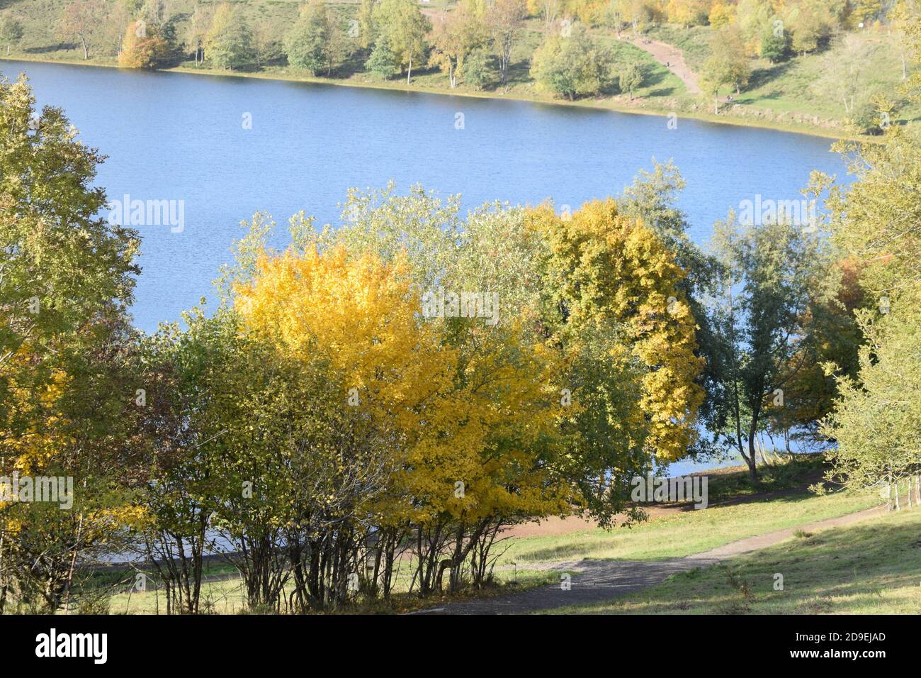 autumn at Weinfelder Maar Stock Photo - Alamy