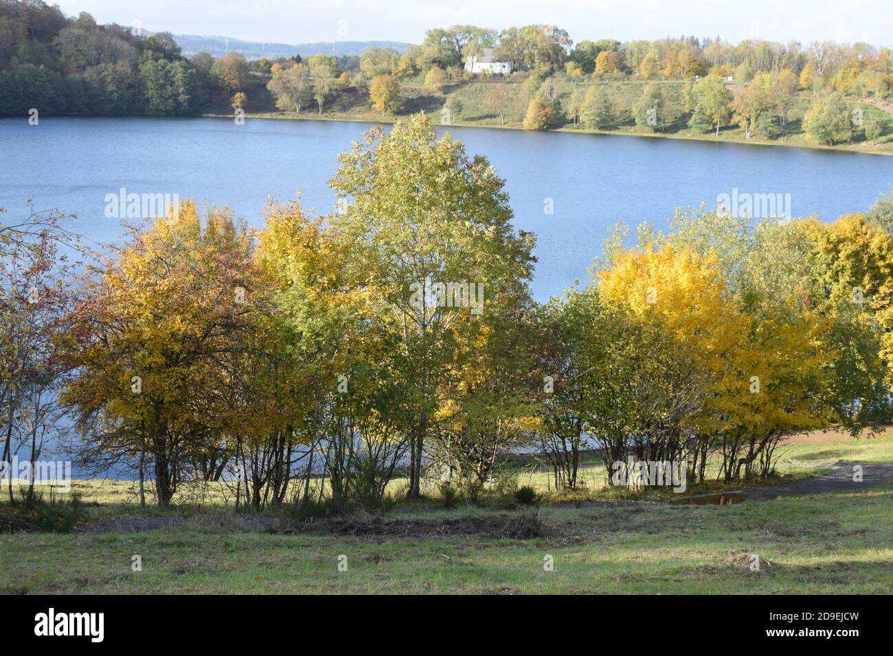 autumn at Weinfelder Maar Stock Photo - Alamy