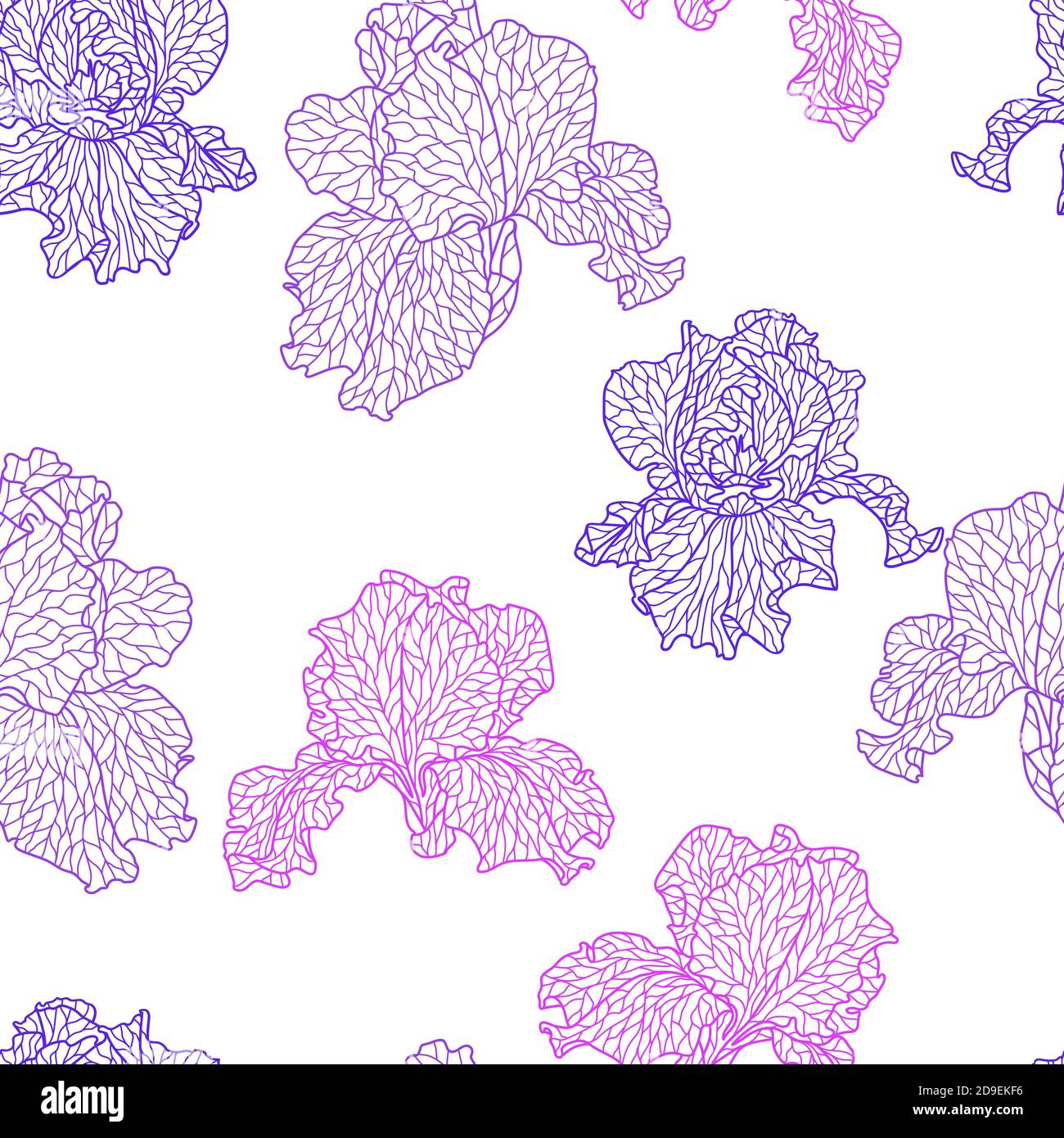 Purple irises in garden Stock Vector Images - Alamy