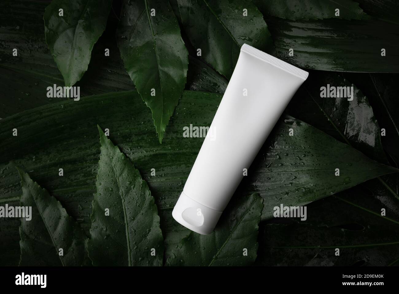 blank white cream tube on wet green leaves. top view copy space Stock Photo