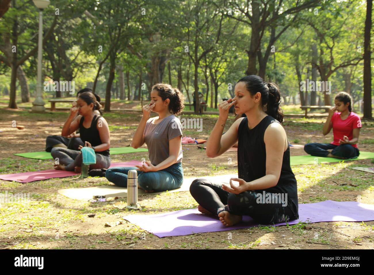 Pranayama (breathwork) at yoga in Cubbon Park, bangalore, India Stock Photo