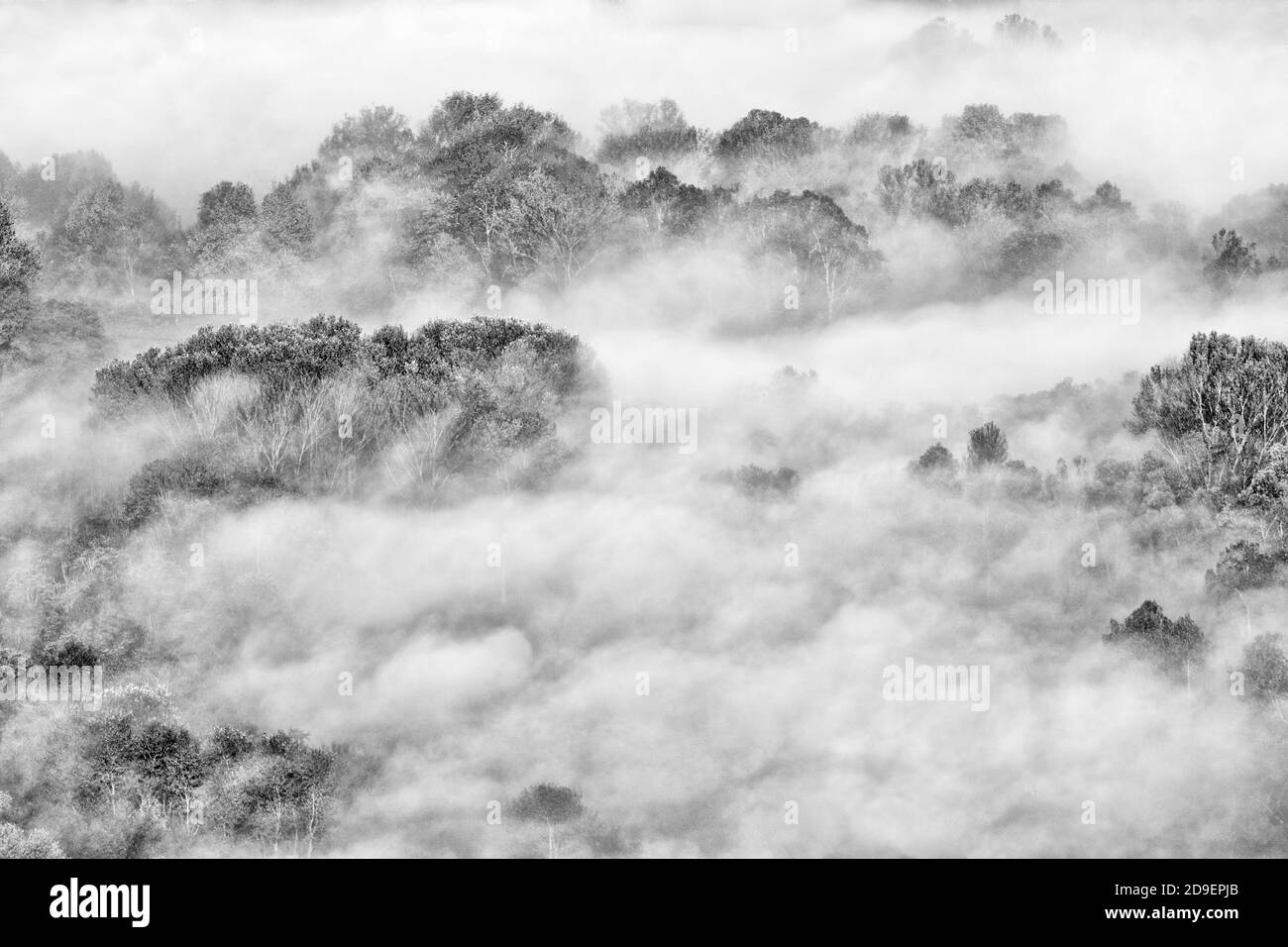 Aerial view foggy morning autumn Black and White Stock Photos & Images ...