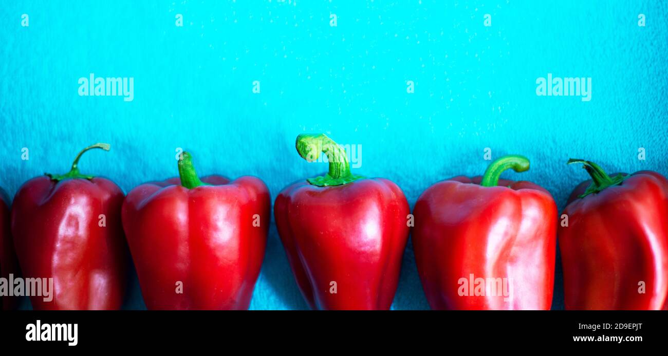 Red bell pepper on a blue background. Bright paprika are in a row. Contrasting backgrounds with vegetables. Bright ideas and designs. Stock Photo