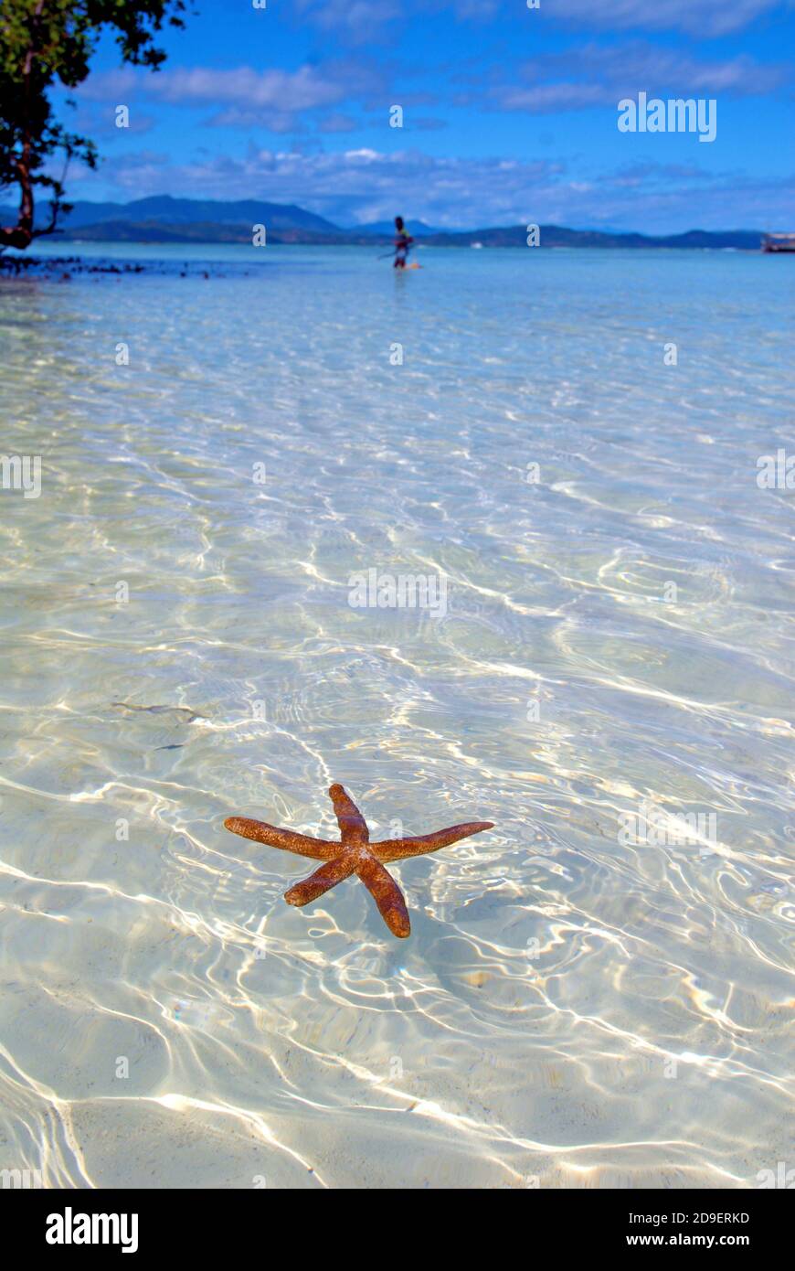 Starfish in the trquoise blue ocean of Nosy Iranja island. Stock Photo