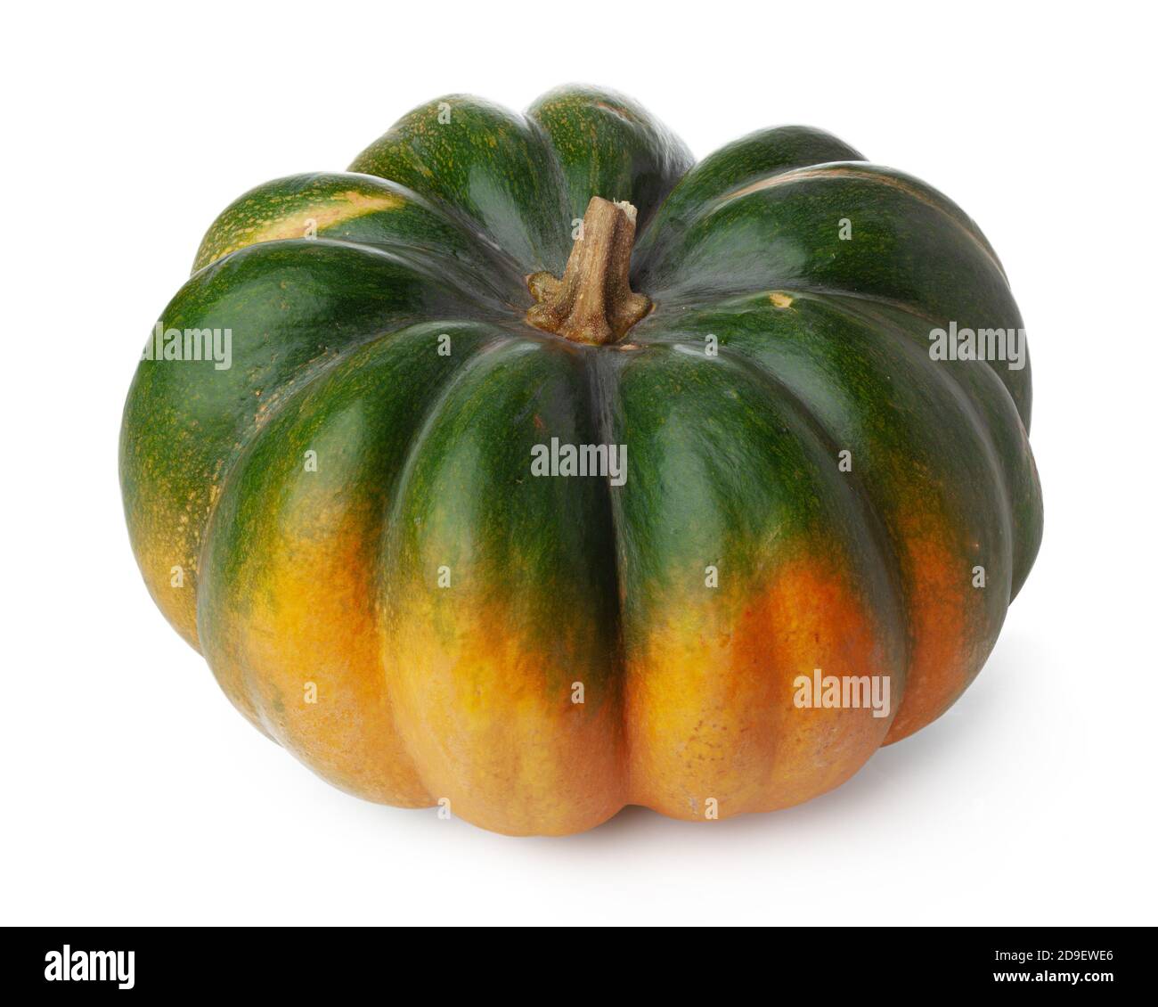 Studio shot of a pumpkin isolated on white background Stock Photo - Alamy
