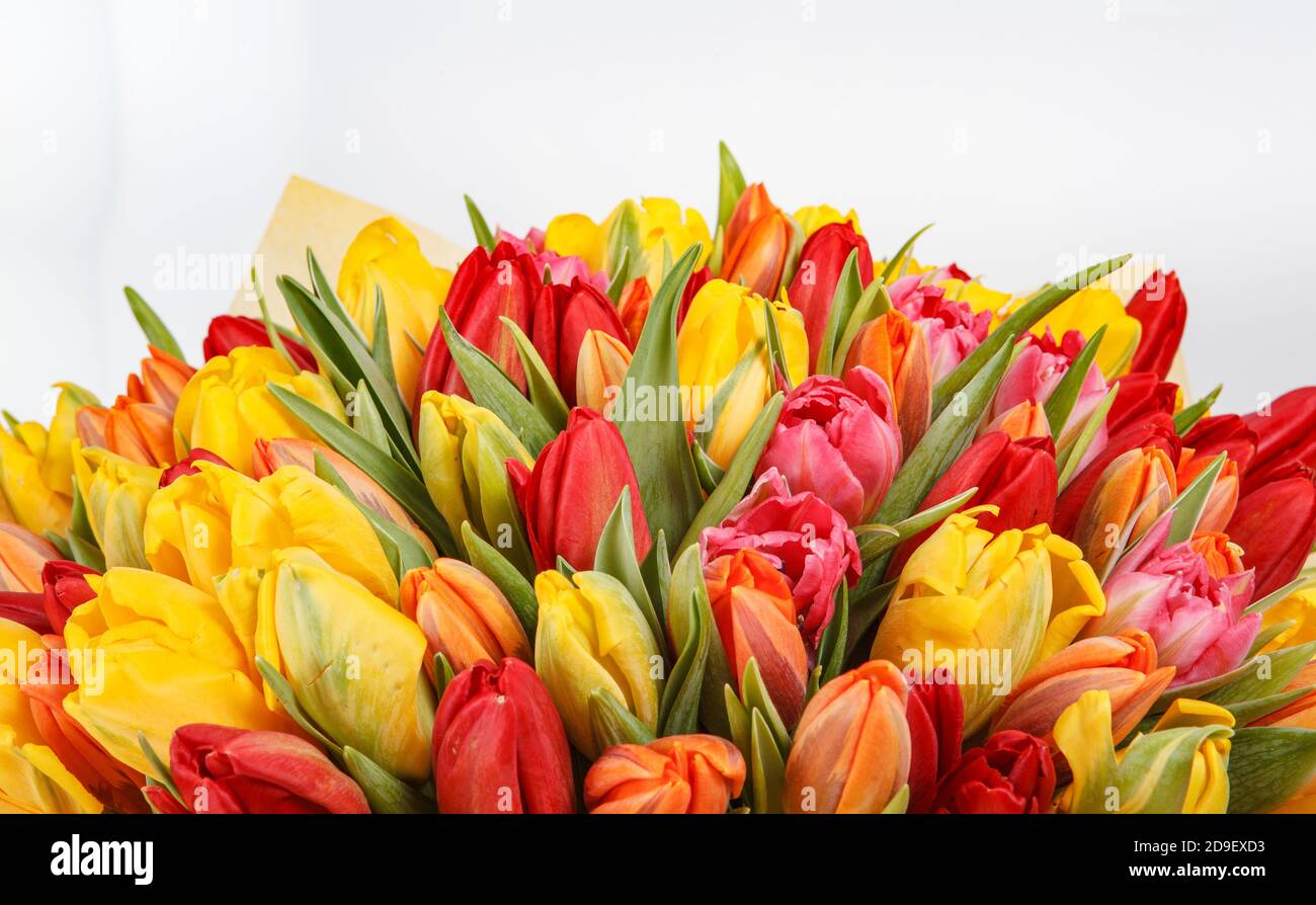 yellow and red tulip bouquet