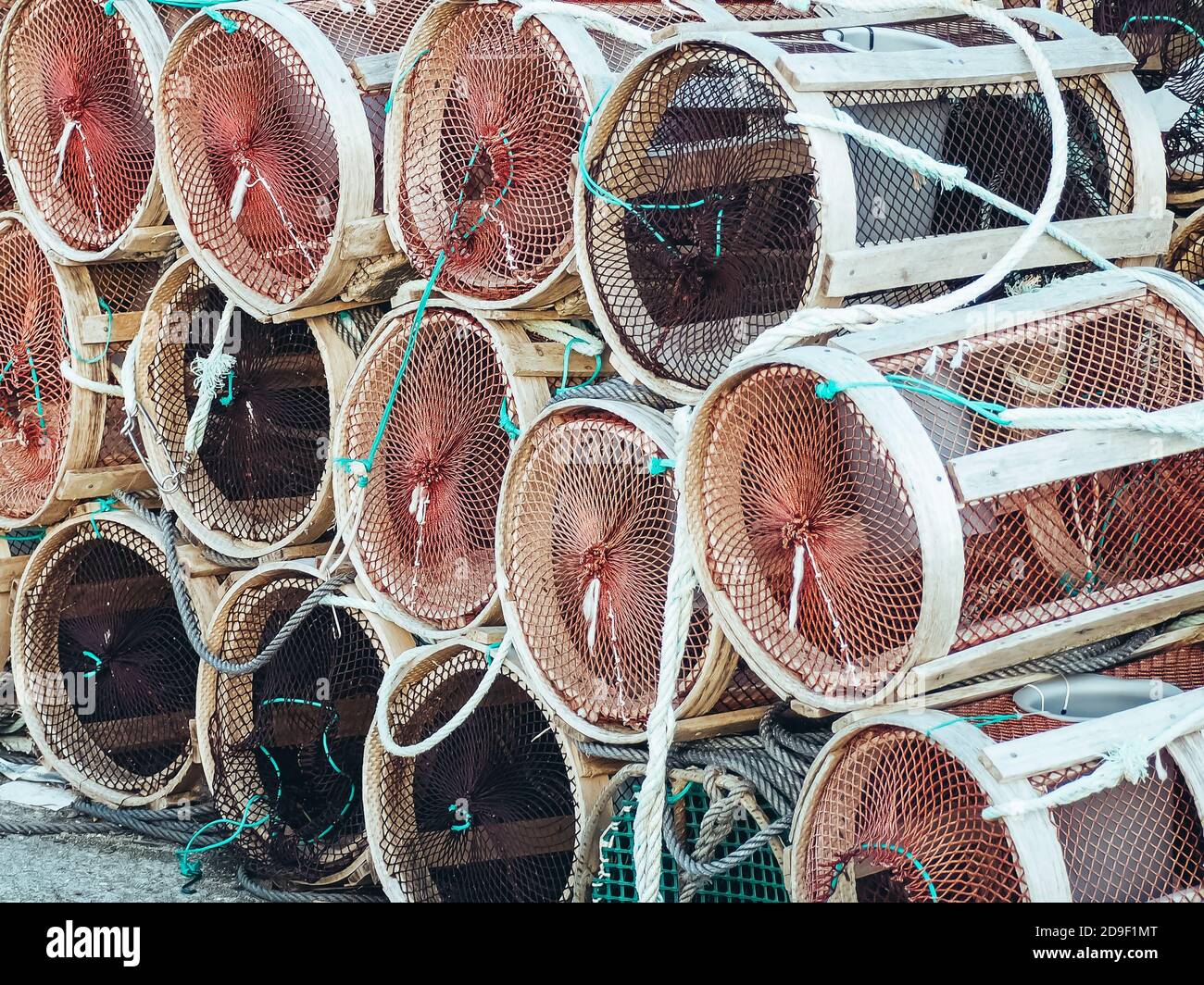 Empty crab cage hires stock photography and images Alamy
