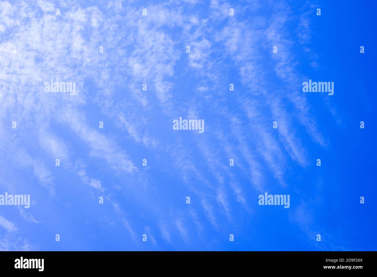 Blue sky with gentle cumulus clouds. Background. Texture.  Stock Photo