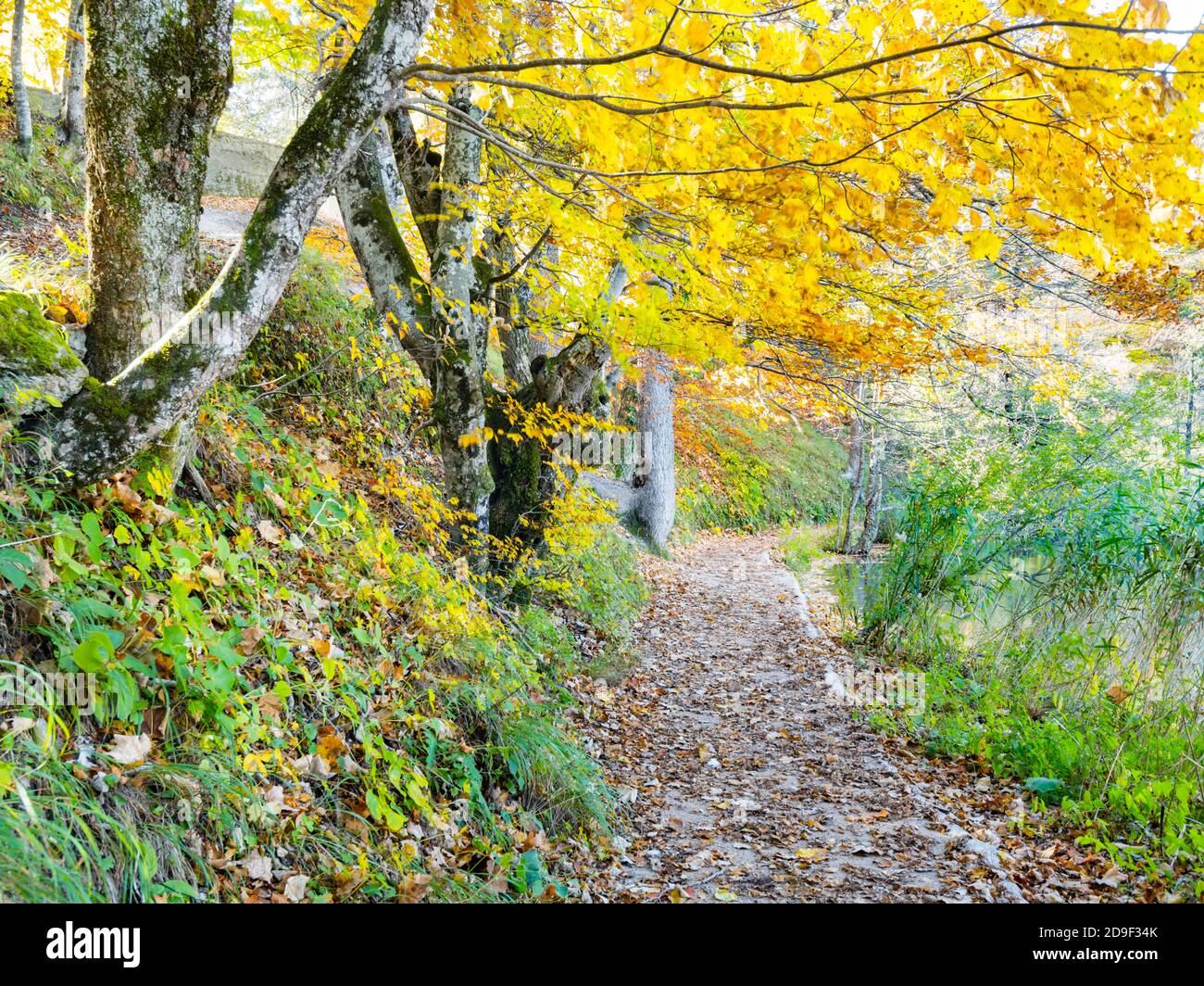 National park Plitvice lakes, Croatia Stock Photo