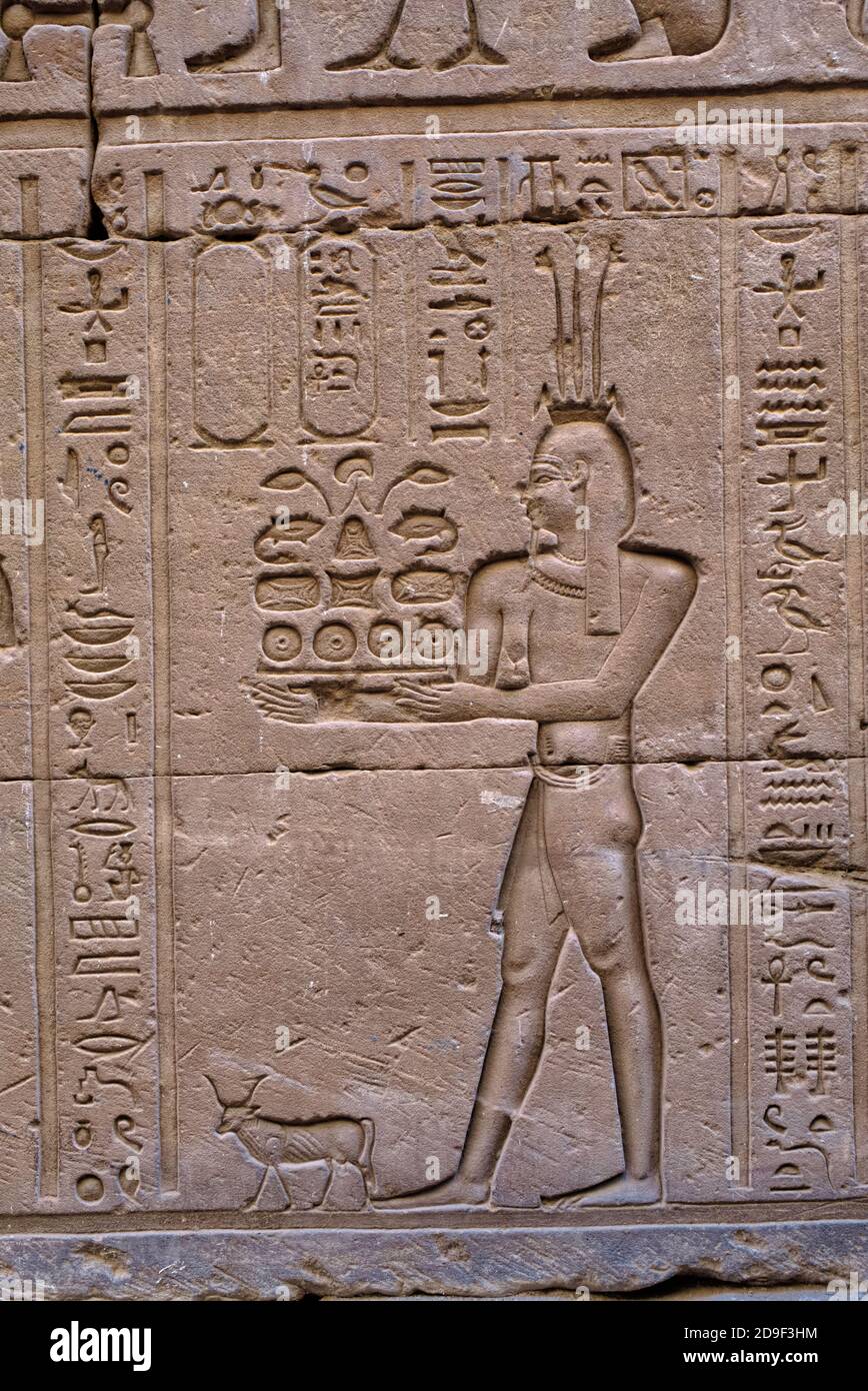 Offering incense to his deified parents, Euergetes I and Berenice; and