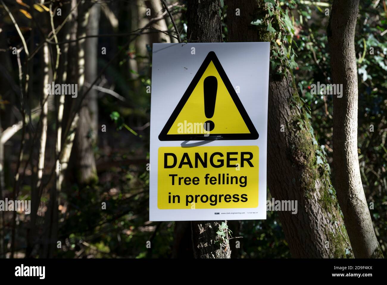 'DANGER Tree felling in progress' sign, Snitterfield Bushes Nature Reserve, Warwickshire, England, UK Stock Photo