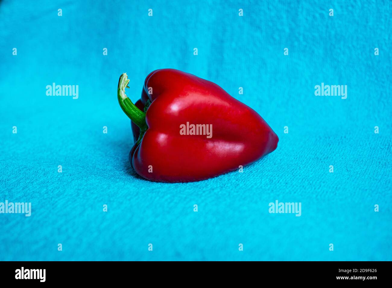 Red bell pepper on a blue background. Bright vegetables. One paprika. Stock Photo