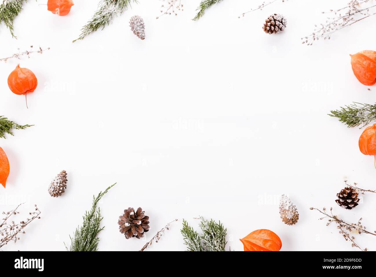 Christmas or autumn composition. Thuja twigs, cones in the snow, physalis Top view, flat lay, copy space Stock Photo