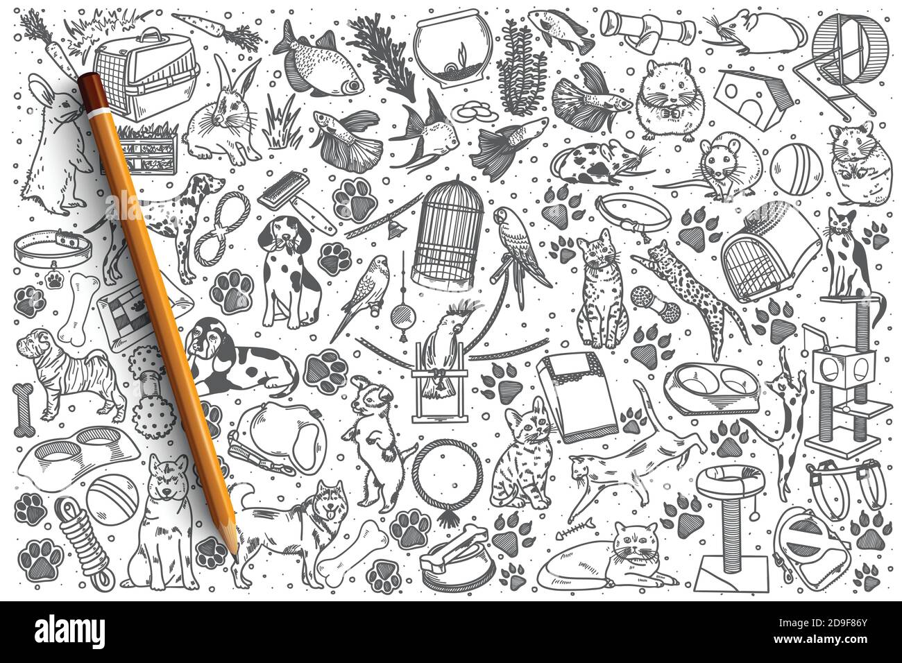 Hand drawn Pets vector doodle set Stock Vector Image & Art - Alamy