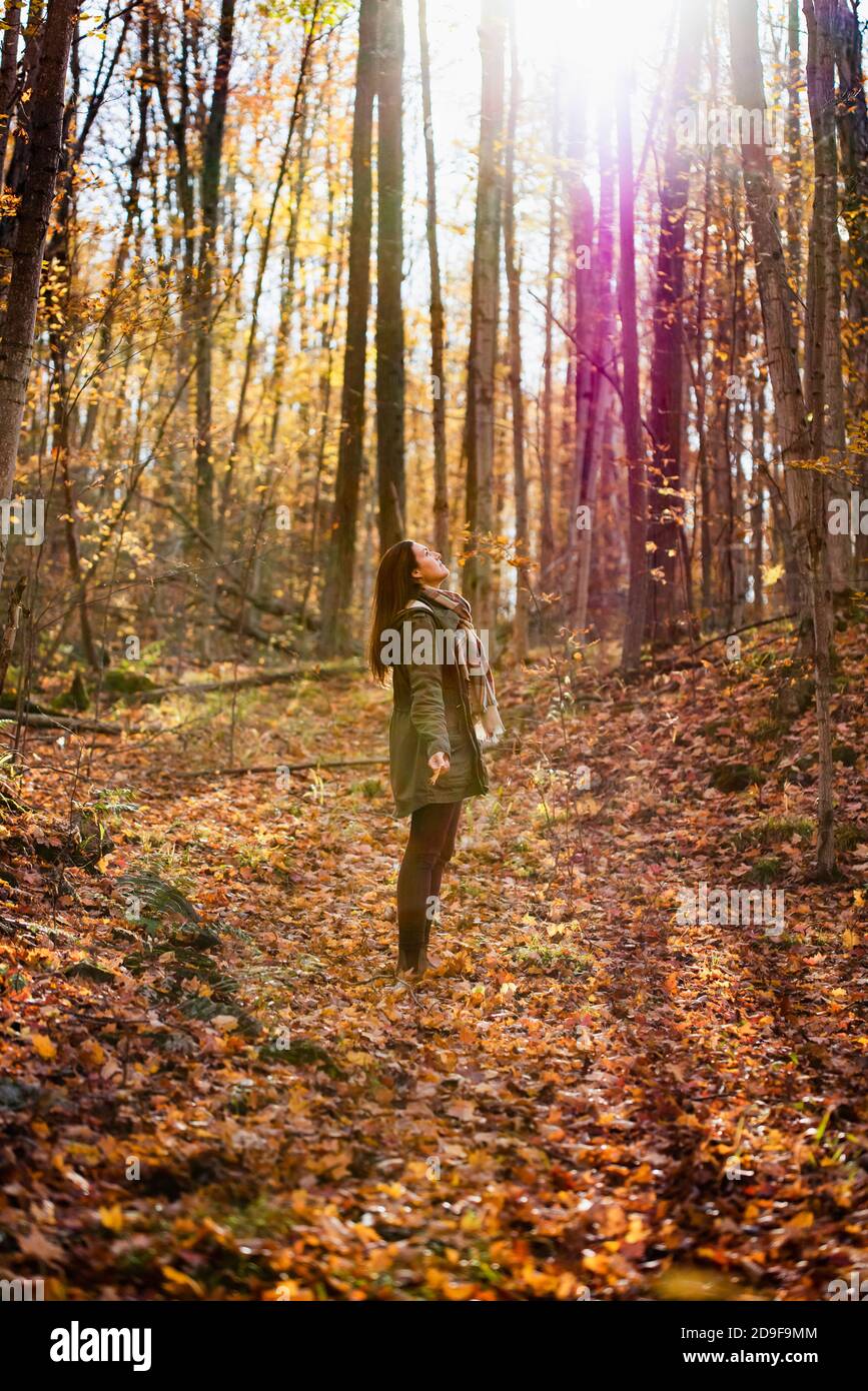 Woman standing in a forest looking up at the trees on an autumn day ...