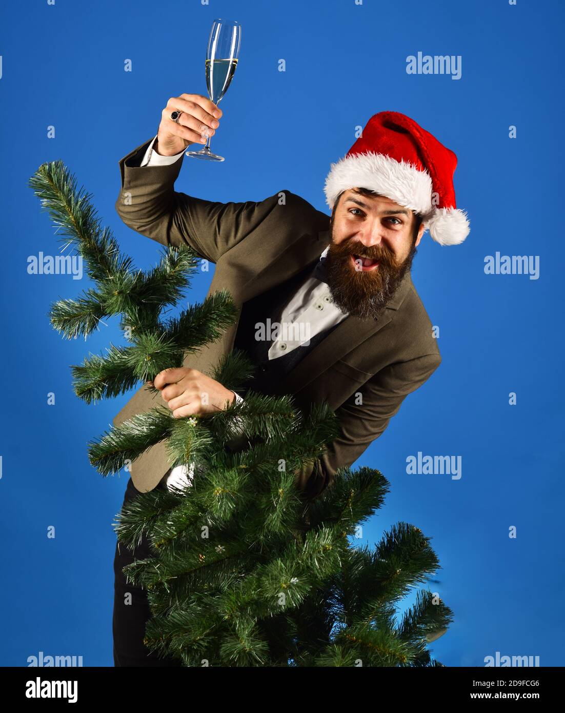 Christmas celebration concept. Manager with beard looks out of bald Christmas tree. Man in smart