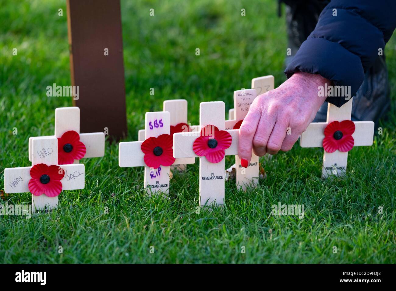 Edinburgh, Scotland, UK. 5 November 2020.  Members of the public pay their respects at garden of remembrance in Princes Street Gardens. Formal ceremonies have been cancelled because of Covid-19 on Remembrance Day. Iain Masterton/Alamy Live News Stock Photo
