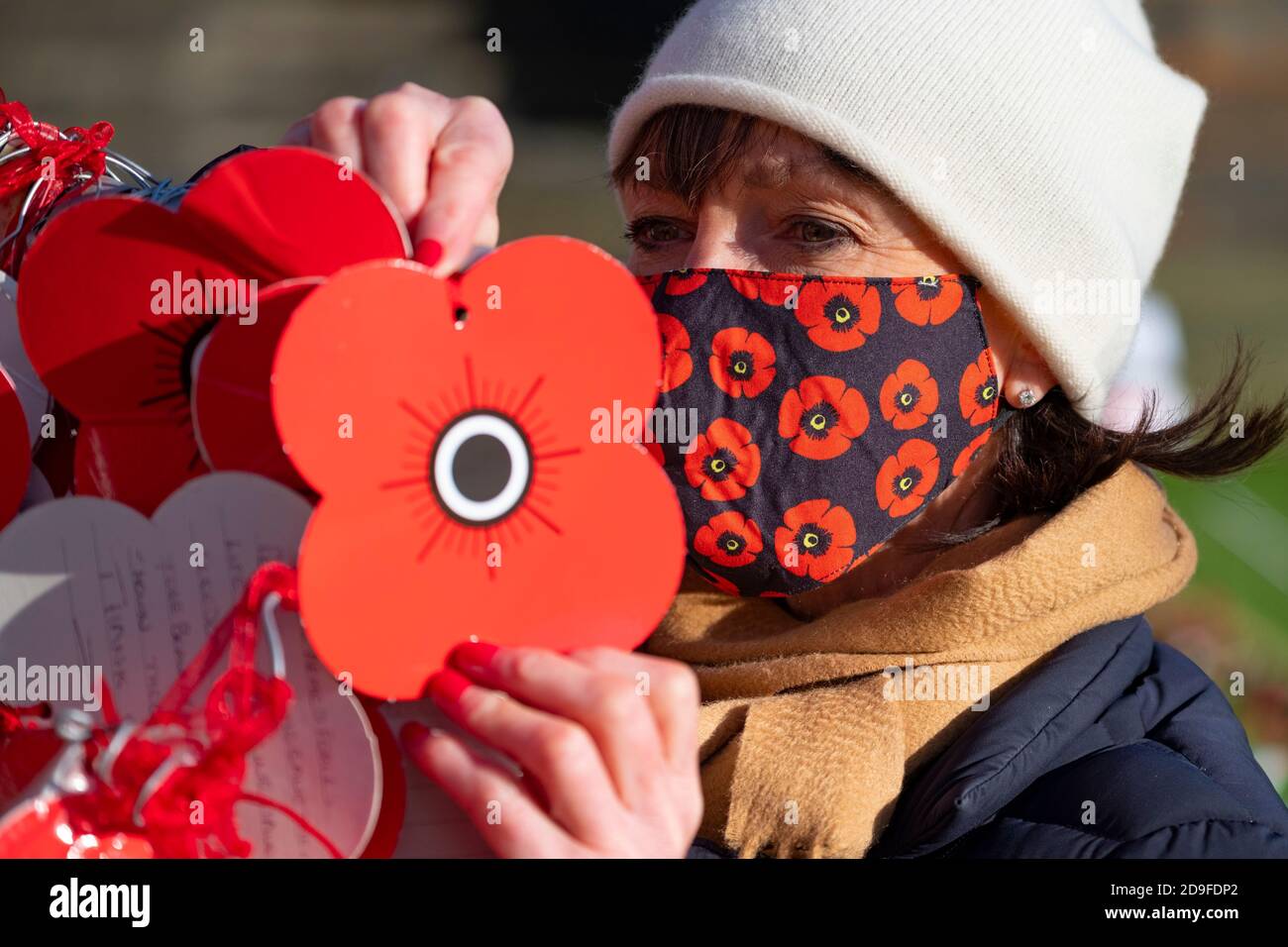 Edinburgh, Scotland, UK. 5 November 2020.  Members of the public pay their respects at garden of remembrance in Princes Street Gardens. Formal ceremonies have been cancelled because of Covid-19 on Remembrance Day. Iain Masterton/Alamy Live News Stock Photo