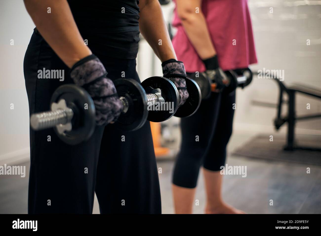 Two women are doing weight training at home Stock Photo Alamy