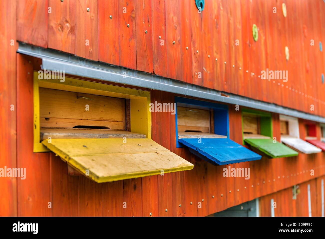 Mobile apiary of different colors inCzech Republic. Hives with bees in a mobile apiary. ?olored beehives in the apiary. Stock Photo