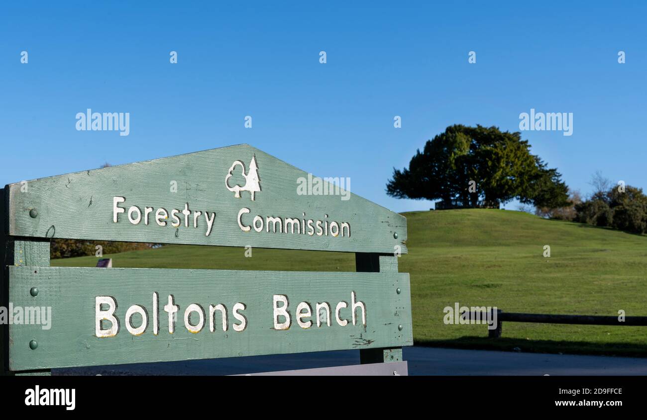 Forestry Commission sign at Boltons Bench with Boltons Bench in the background, Lyndhurst, New Forest, Hampshire, England, UK Stock Photo
