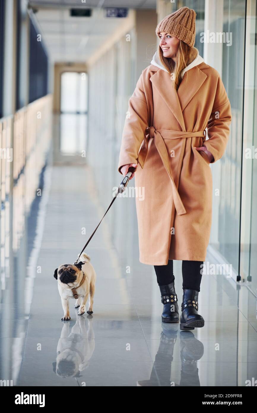 clothes for dog walking