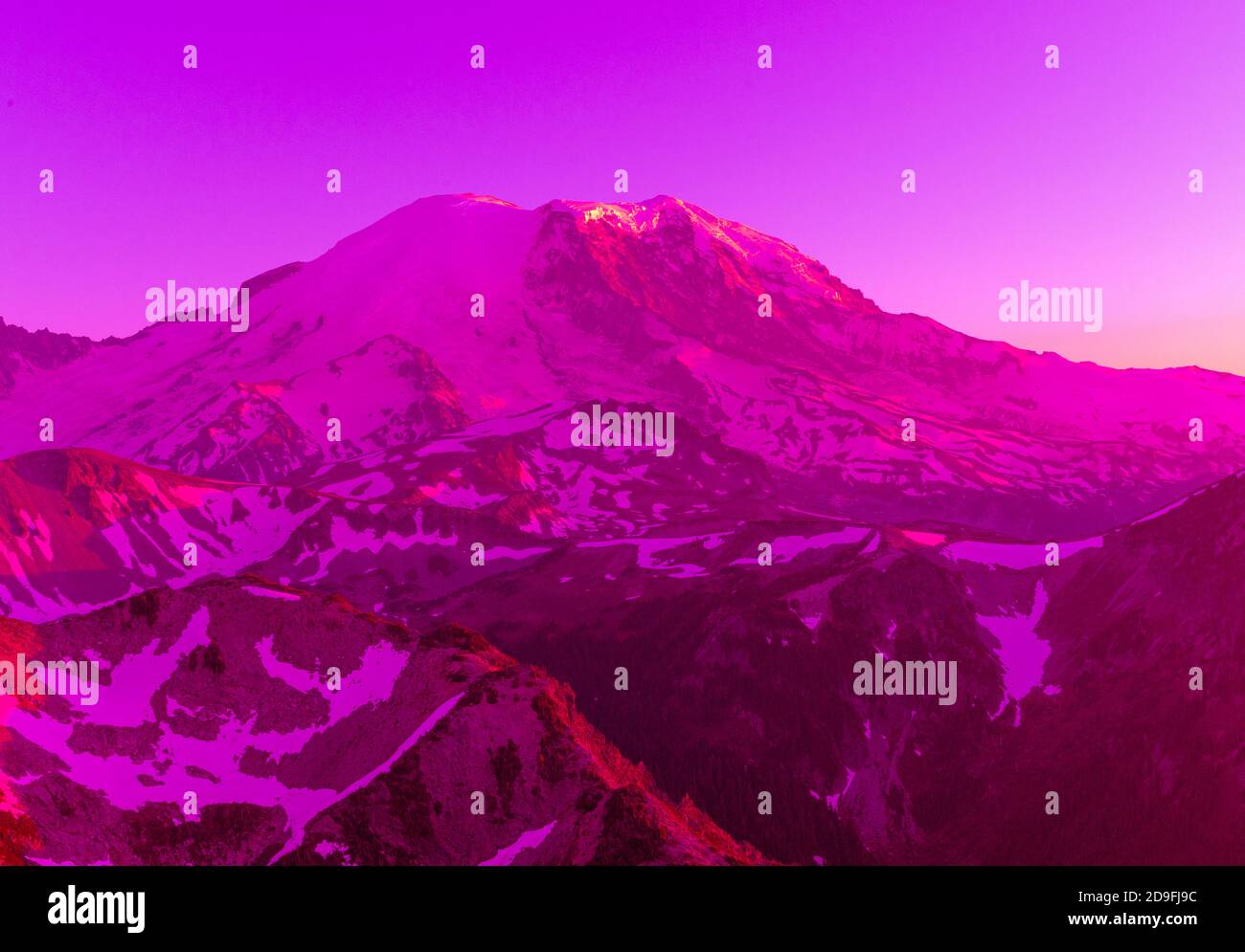 Mount Rainier in the pink Stock Photo Alamy