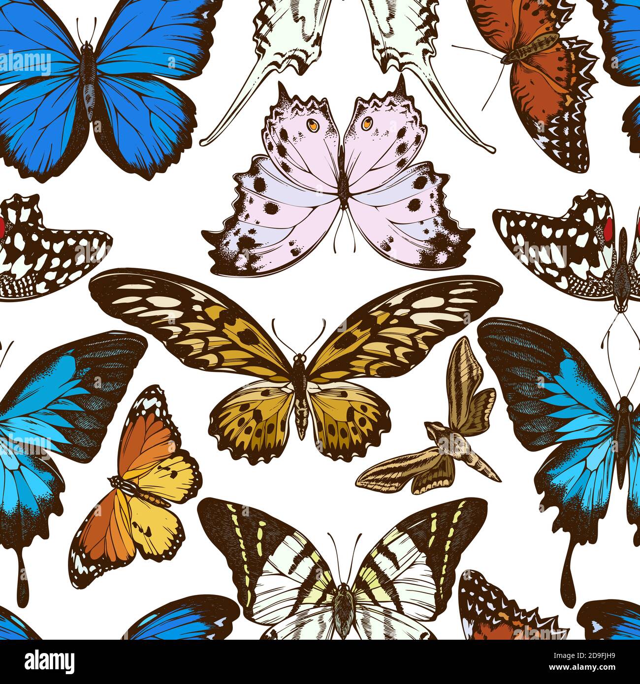 Seamless pattern with hand drawn colored giant swordtail, lemon butterfly, red lacewing, african giant swallowtail, white-banded hunter hawkmoth Stock Vector