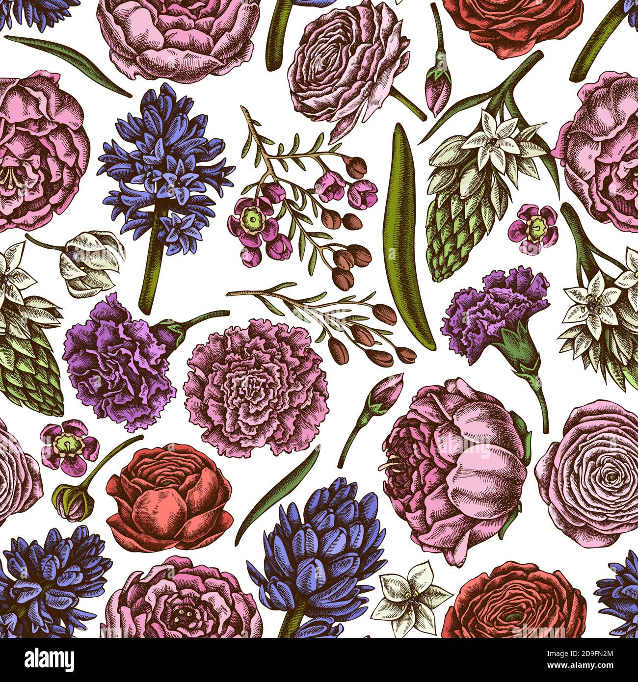 Seamless pattern with hand drawn colored peony, carnation, ranunculus, wax flower, ornithogalum, hyacinth Stock Vector