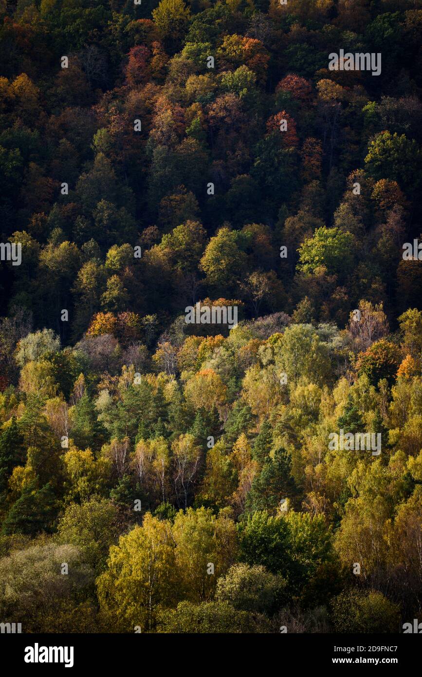 Beautiful autumn view hi-res stock photography and images - Alamy