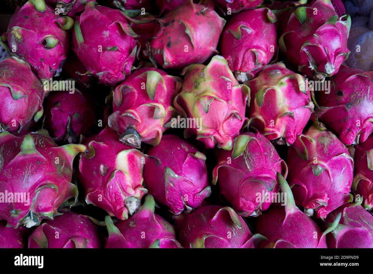 dragon fruit in a market in asia Stock Photo Alamy