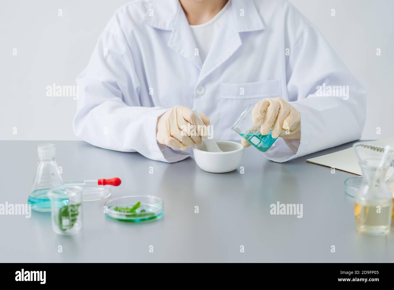 doctor woman scientist making herbal medicine in lab with herb leaves vitamin supplements mineral alternative treatment research. Stock Photo