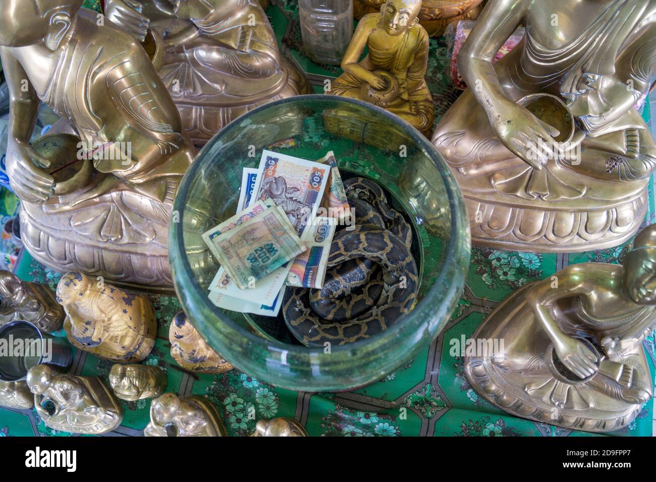 Money worship hi-res stock photography and images - Alamy