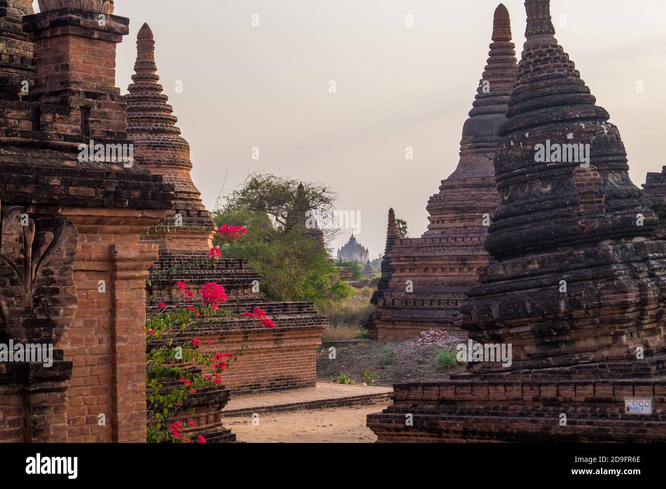 temples and pagoda in bagan myanmar Stock Photo