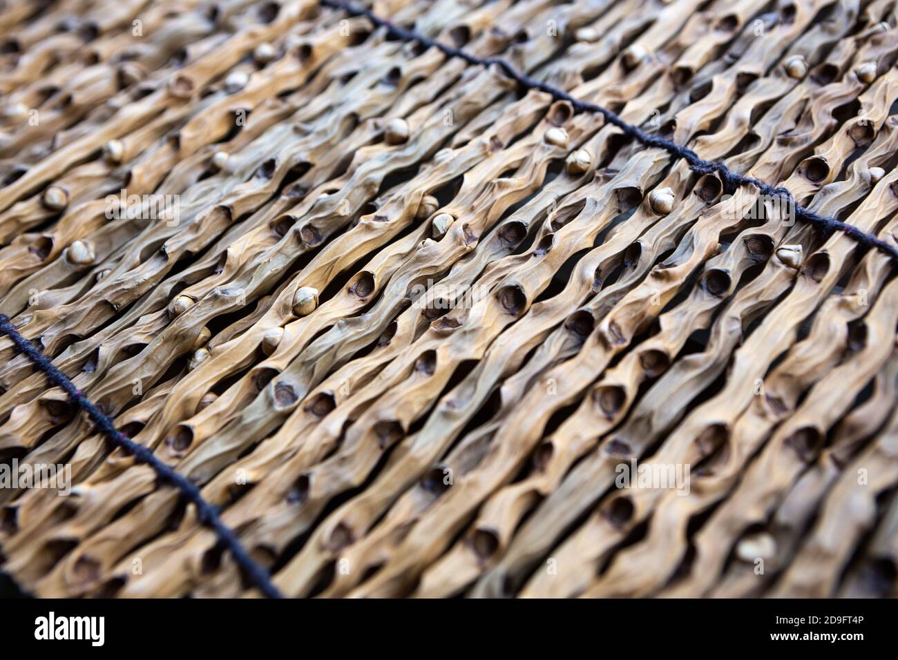 Abstract surface made by brazilian indigenous with branches of acai palm tree from Amazon rainforest. Concept of handmade, native, sustainability. Stock Photo