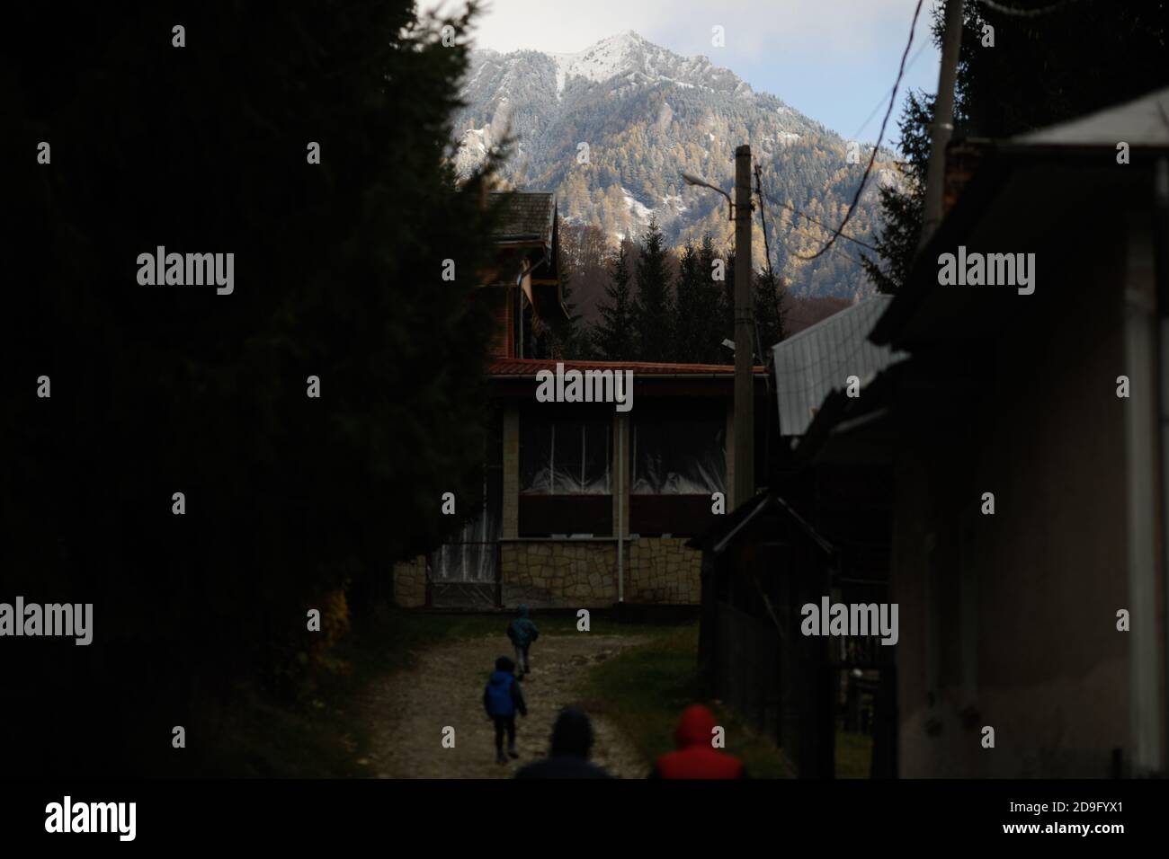 Mist, sleet and snow on Romanian mountains during a cold November day. Stock Photo