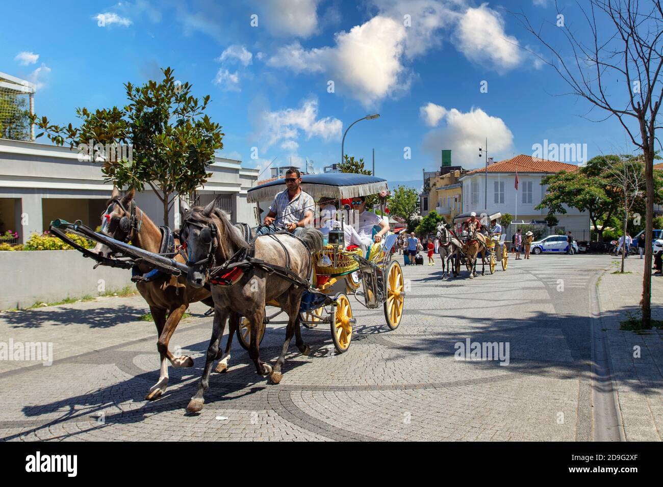 In Istanbul's Princes' Islands, over 500 carriage horses die in a year due  to abuse, heat, overloaded carriages and exhaustion – Straight from the  Horse's Heart