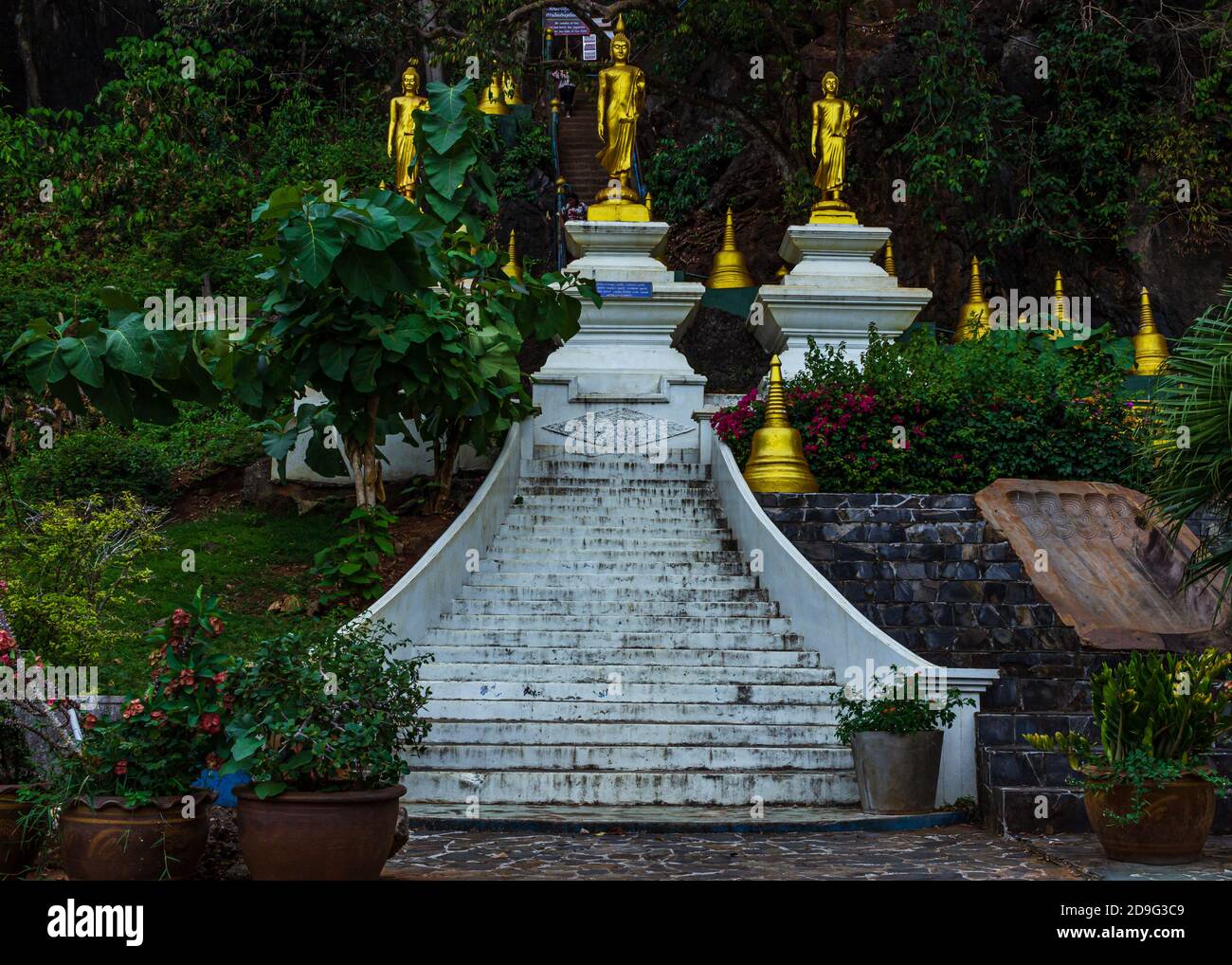 Krabi, Thailand- March 29 2019: Tiger temple decorative white rock stairs, gold budha statues, garden flowers Stock Photo