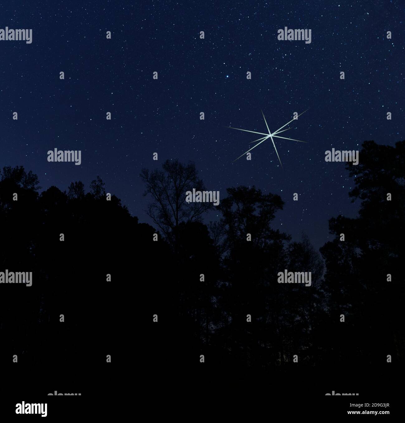Christmas Rising Star Christmas star rising over the trees in Raeford NC Stock Photo - Alamy