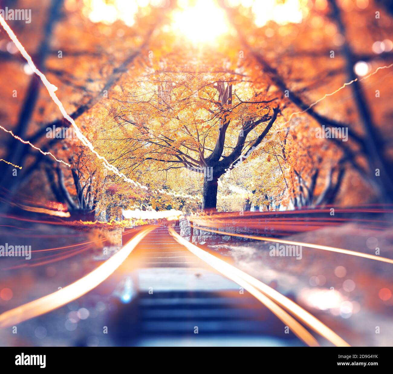 Beautiful and mystic park with trees and path.Scenery park and nature