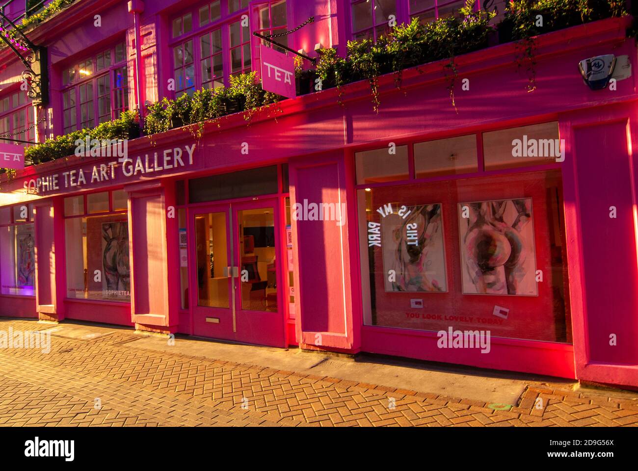 London, UK. 5th Nov, 2020. Sophie Tea Art Gallery in Carnaby Street