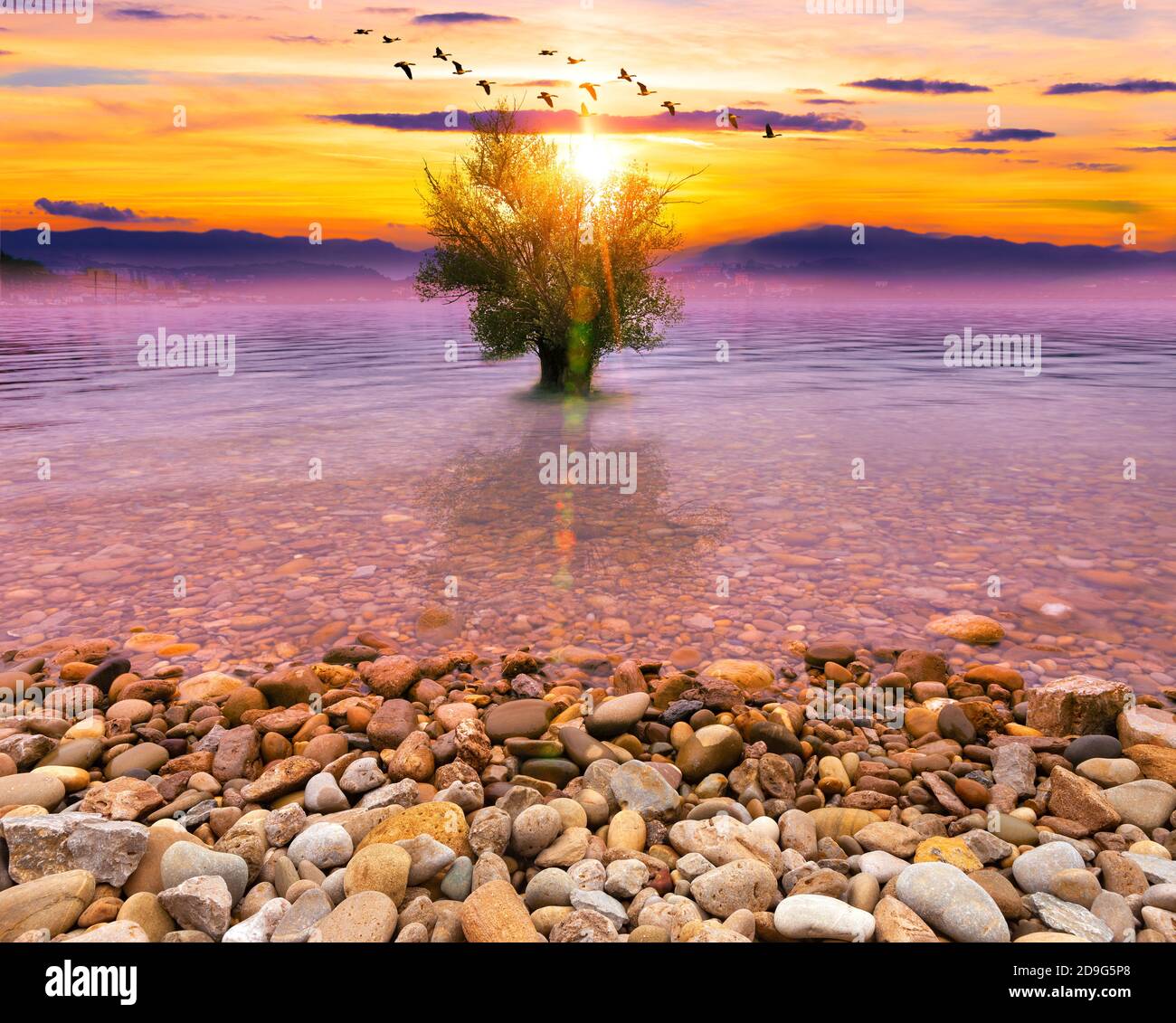 Idyllic and scenery nature .Surreal dream landscape with tree in the water and sunset Stock Photo